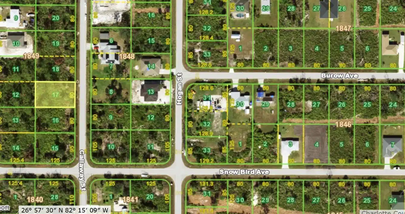 Image 1 Image 1
