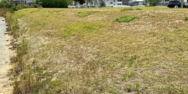 Image 4 Image 4