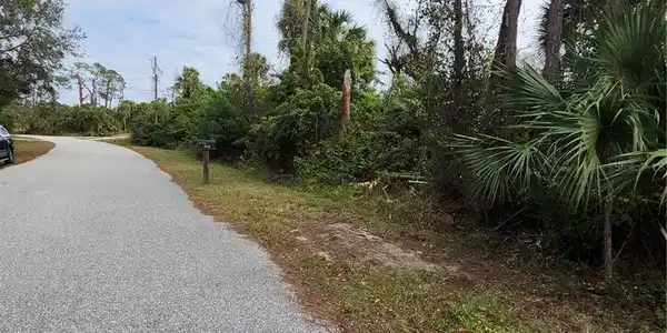 DAPHNE ROAD