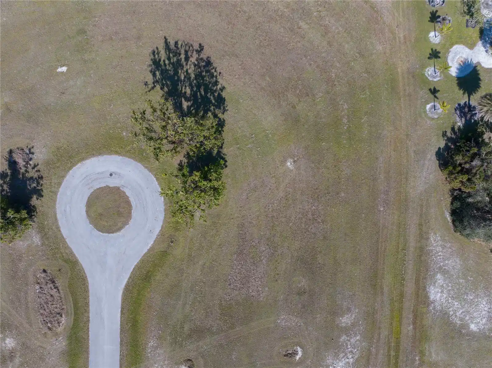 Image 1 Image 1