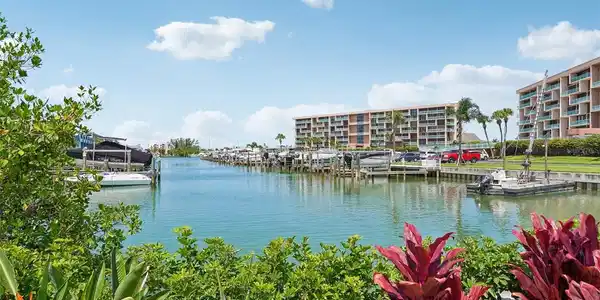 Image 2 Image 2