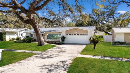 1353 WILLIAMS DRIVE