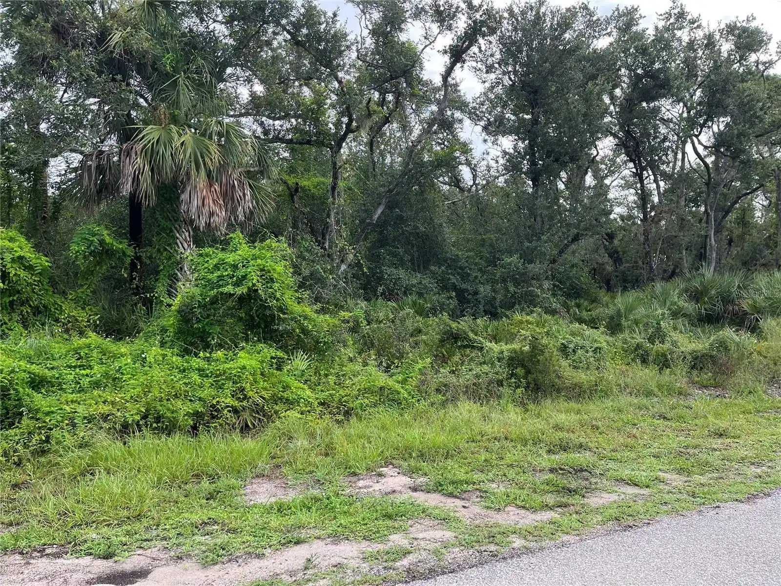 Image 1 Image 1