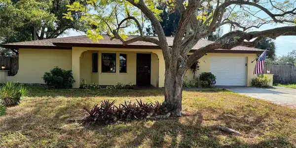 161 DRAGON ROAD