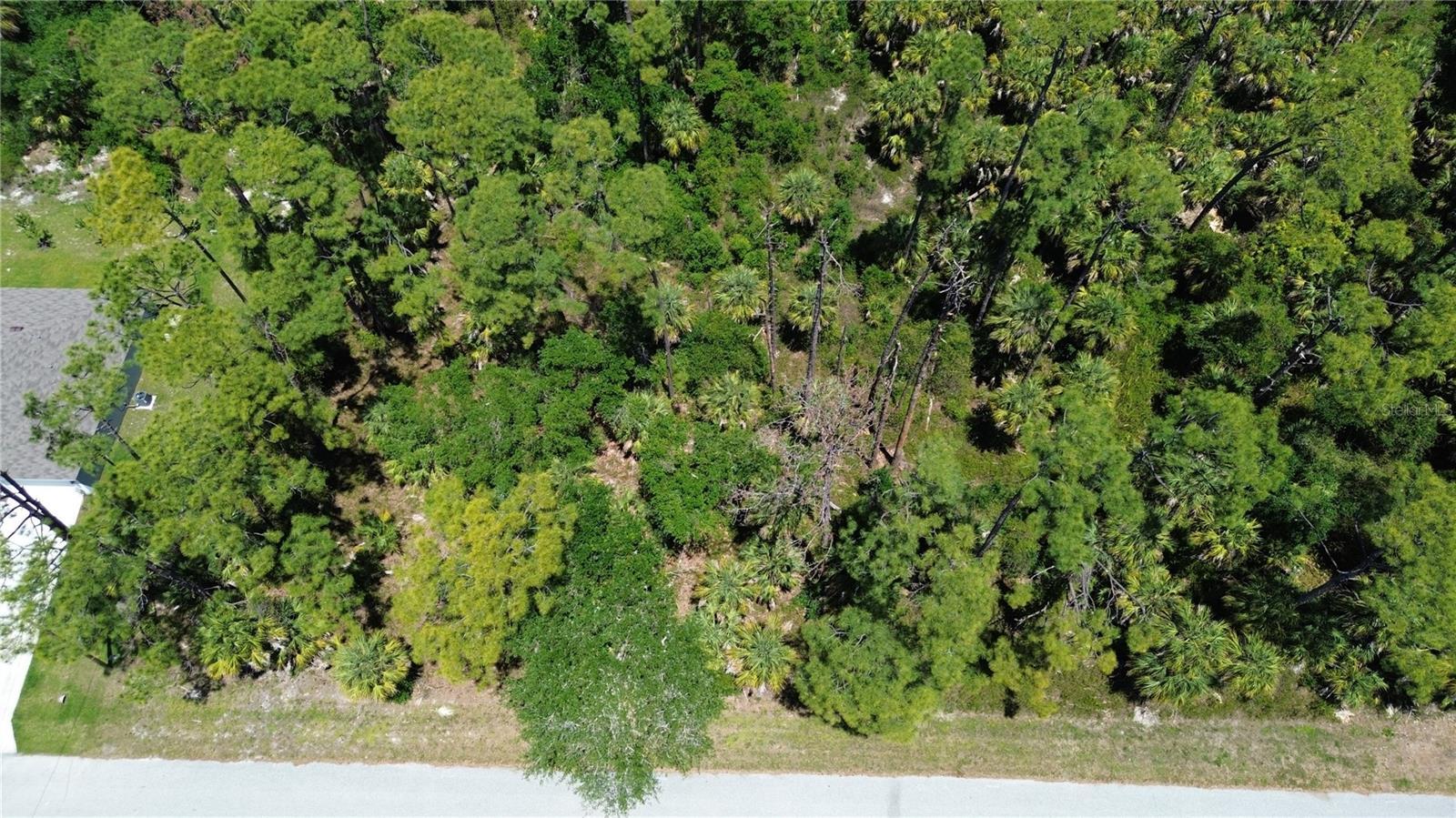 Image 3 Image 3