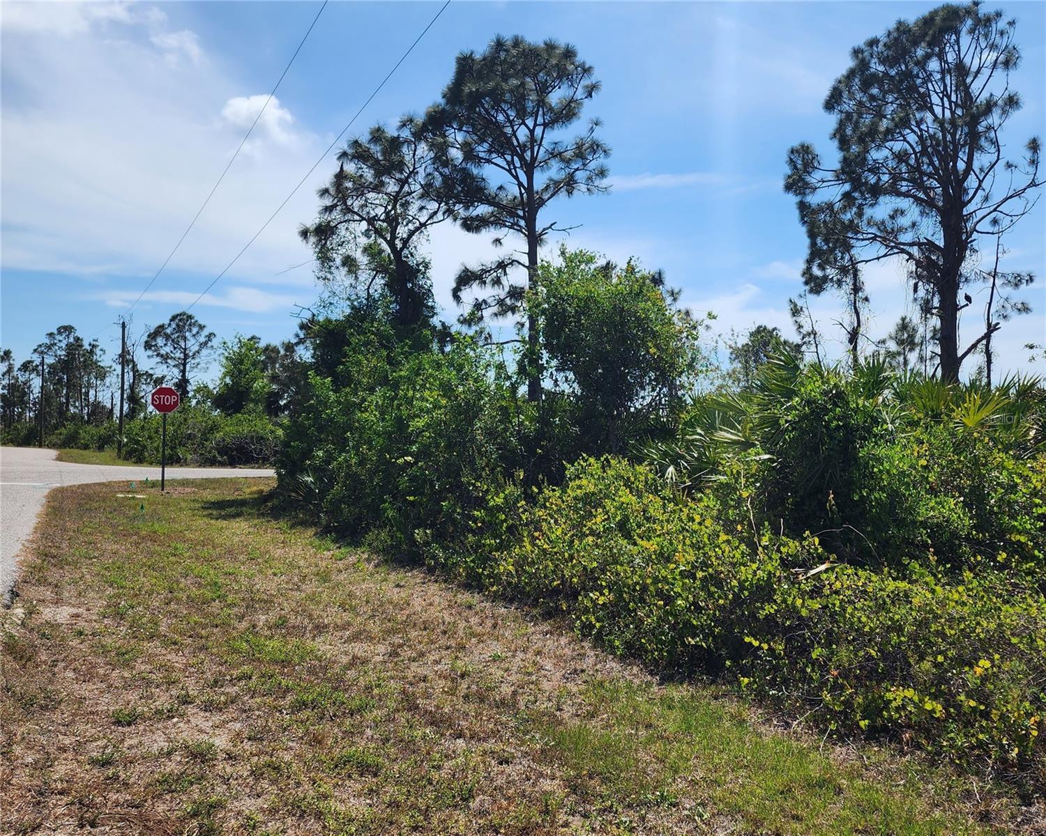 Image 1 Image 1