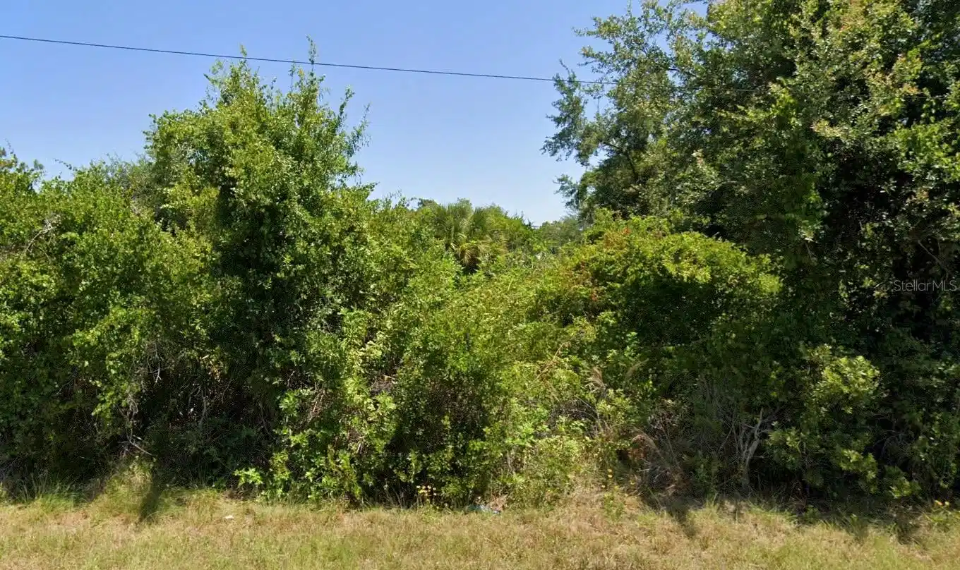 Image 1 Image 1