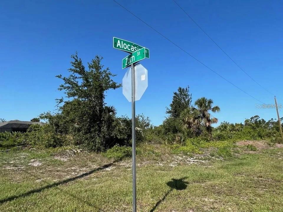 Image 3 Image 3
