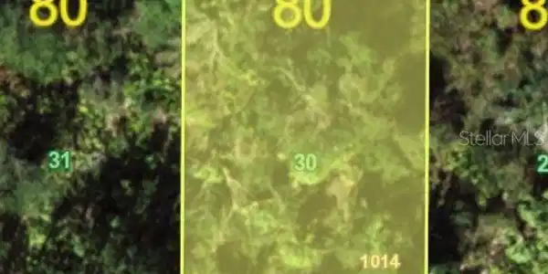 Image 2 Image 2