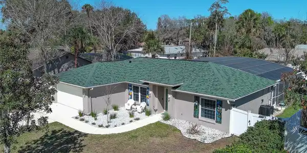 2943 NEEDLE PALM DRIVE
