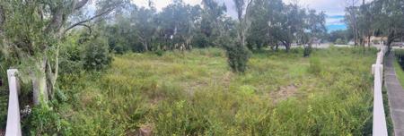 9919 ALAFIA RIVER LANE