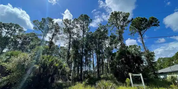Image 3 Image 3
