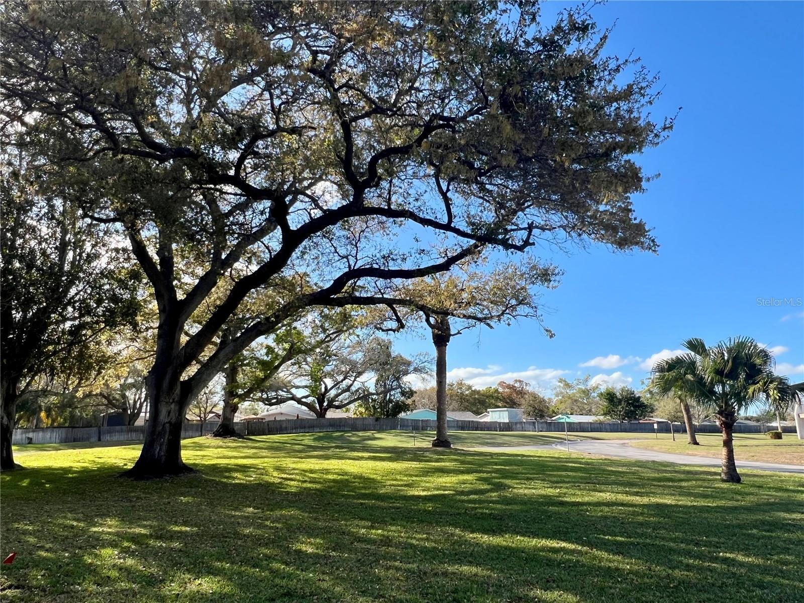 Image 3 Image 3