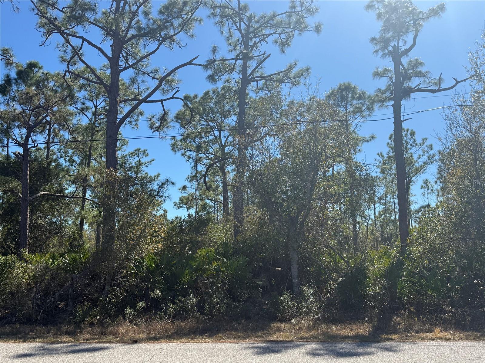 Image 1 Image 1