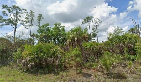 Lot 17 FIREBIRD ROAD