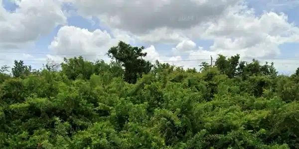Image 2 Image 2