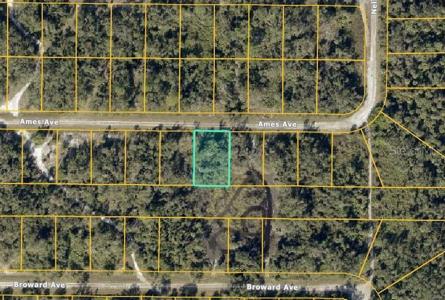Lot #45 AMES AVENUE
