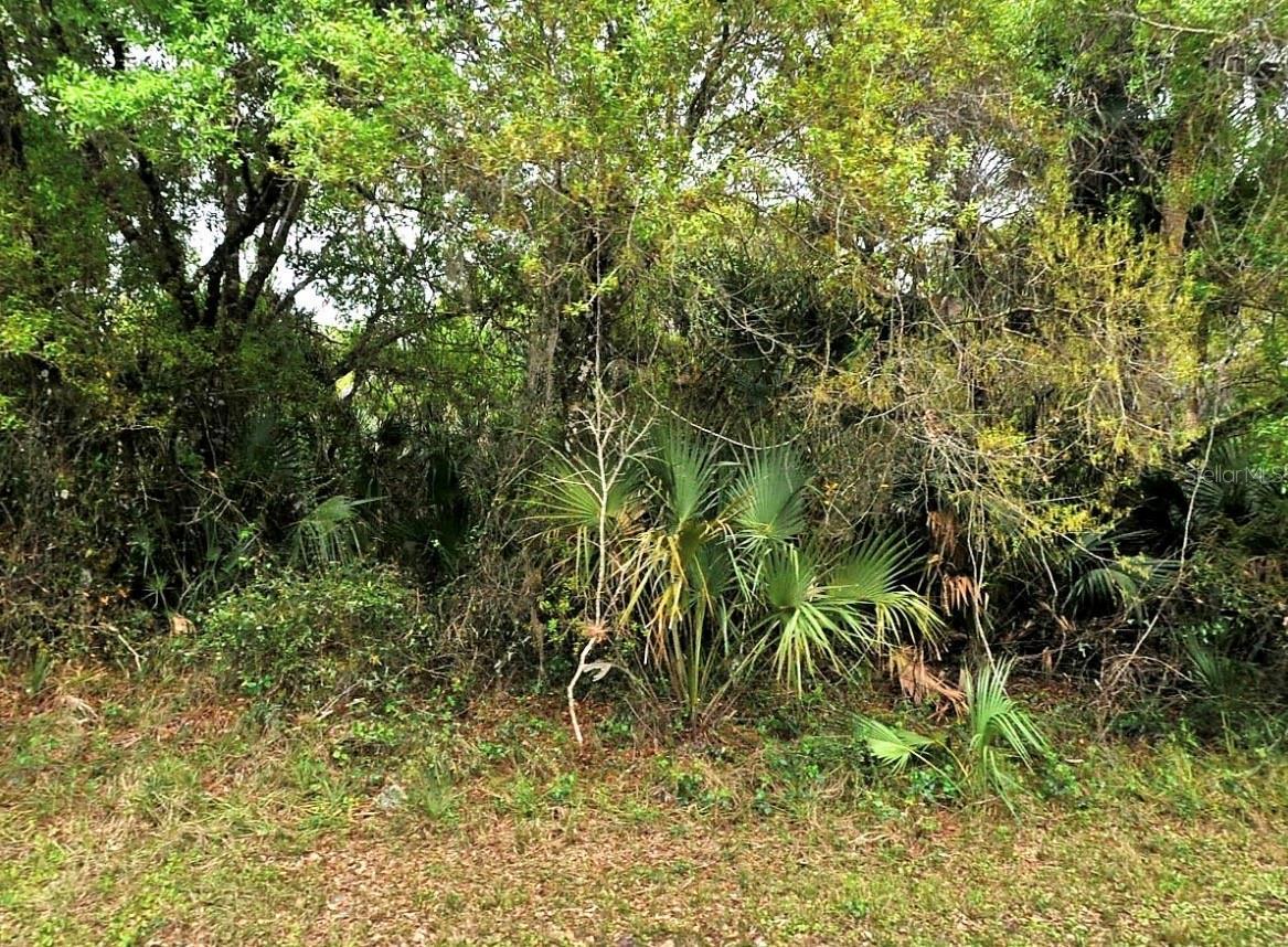 Image 1 Image 1