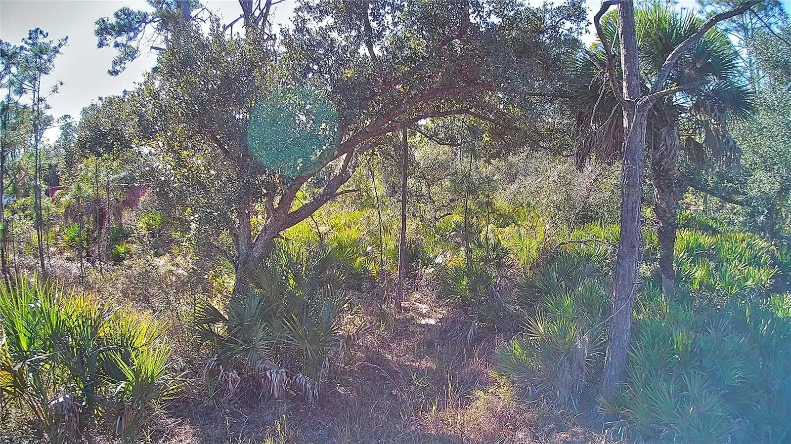 Image 1 Image 1