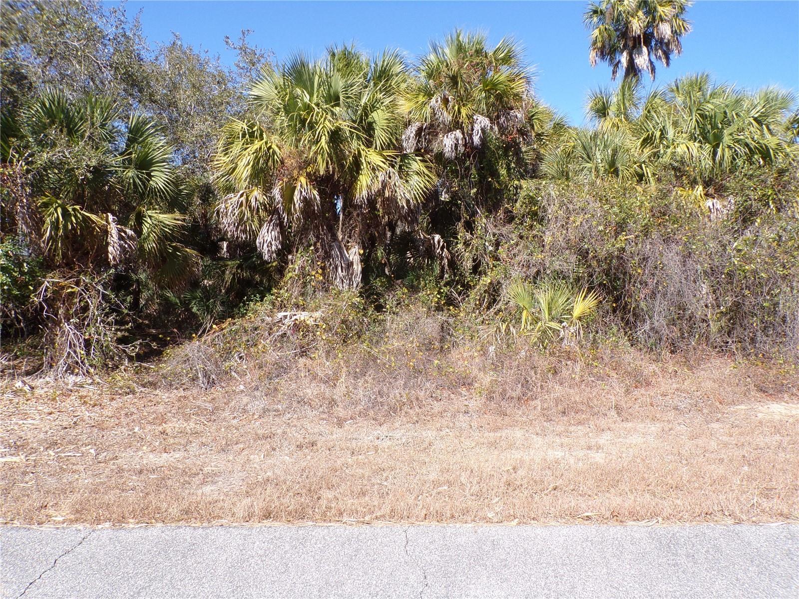 Image 1 Image 1