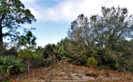 Lot 11 MARSDEN AVENUE