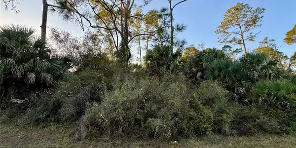 SILVERLEAF ROAD