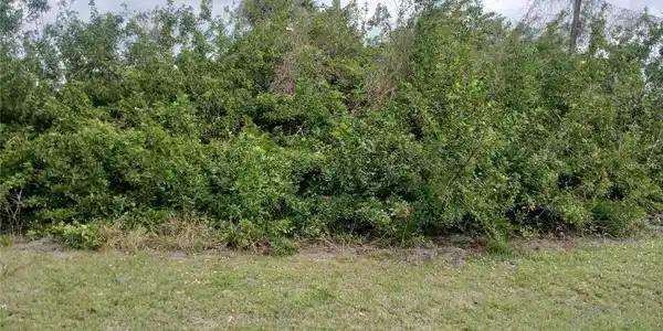 Image 4 Image 4