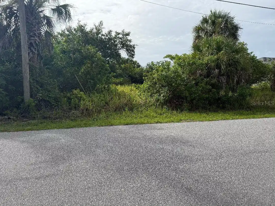 Image 1 Image 1
