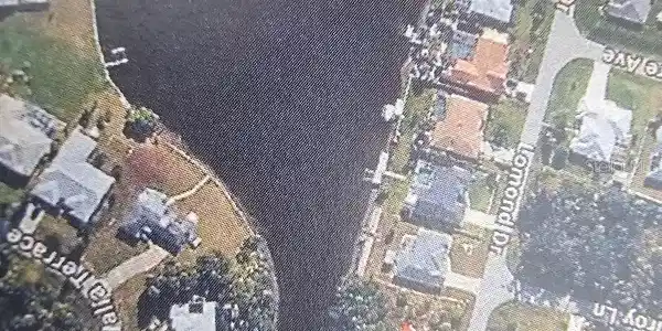 Image 2 Image 2