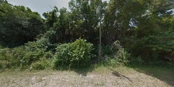 Image 2 Image 2