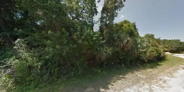 Image 3 Image 3