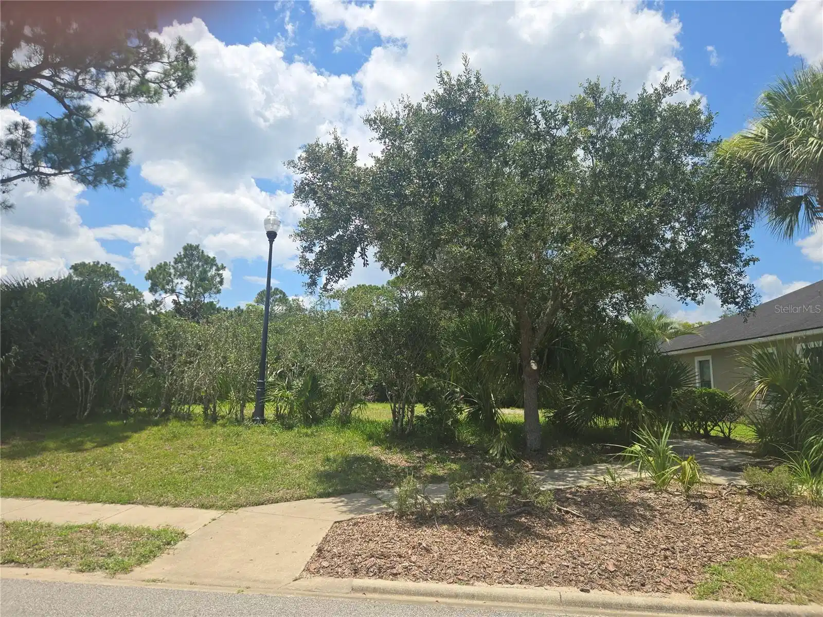 Image 1 Image 1