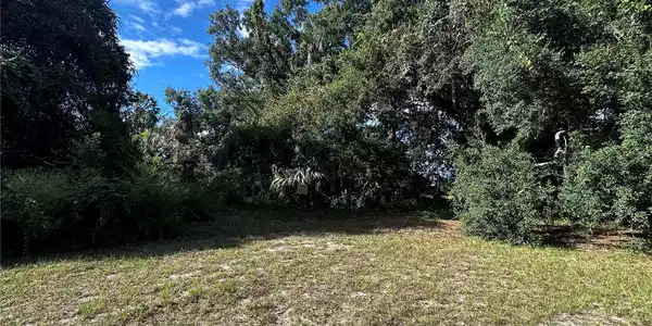 Image 3 Image 3
