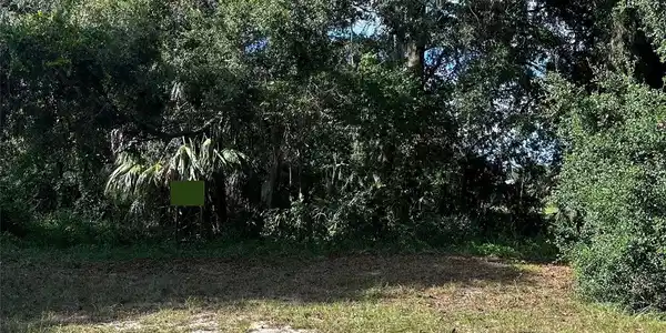 Image 4 Image 4