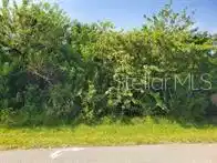 Image 1 Image 1