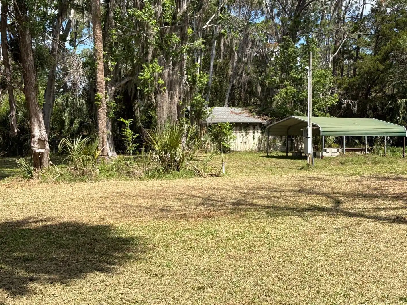 Image 1 Image 1