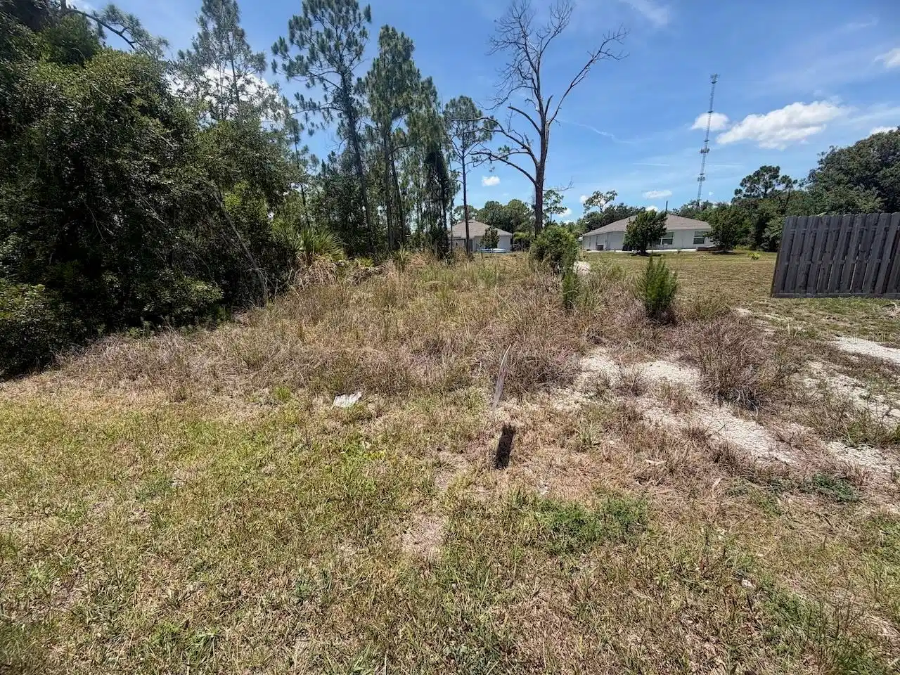 Image 1 Image 1