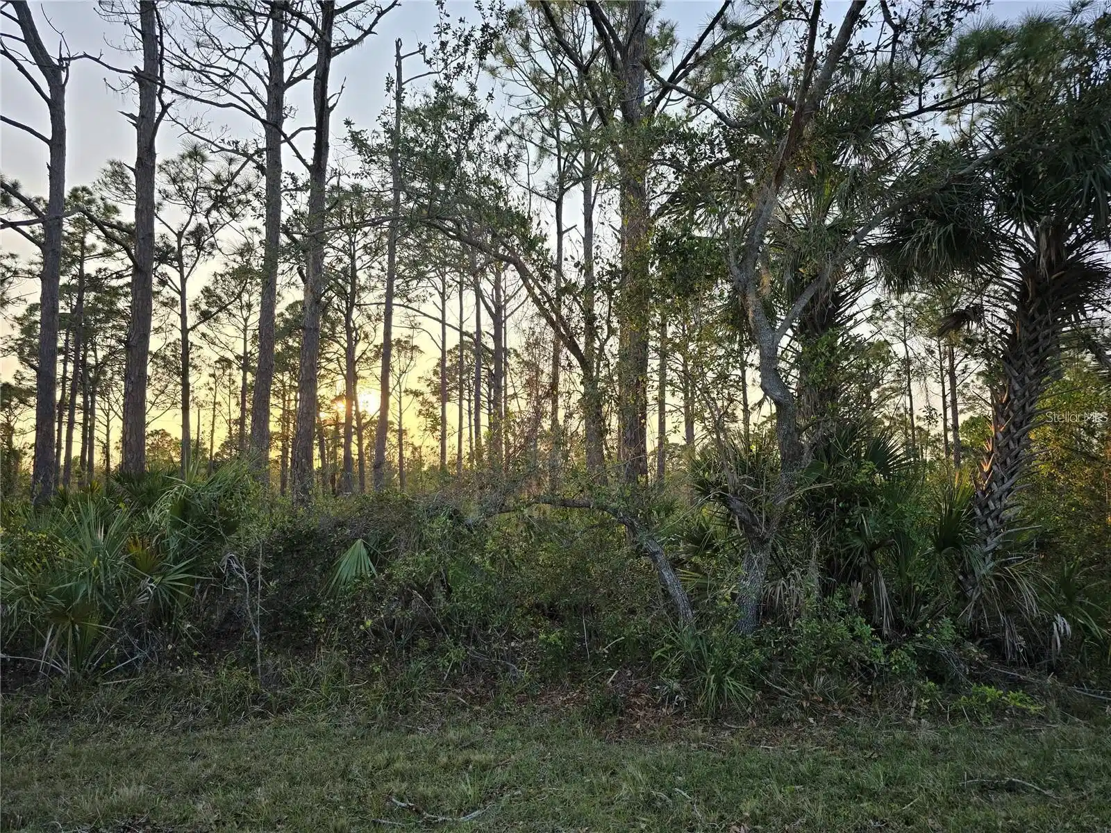 Image 1 Image 1