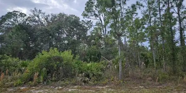 51 BALDUR DRIVE
