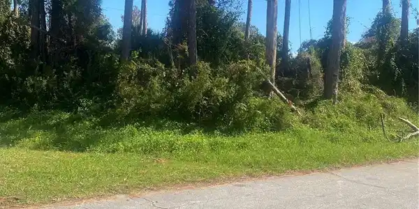 ROYAL PALM DRIVE