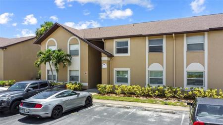 245 SPRING DR