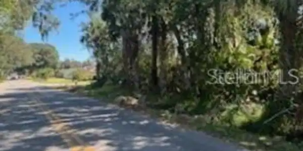 QUEEN PALM DRIVE