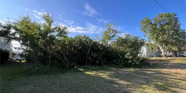 Image 4 Image 4
