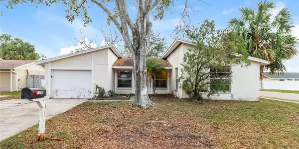 10106 ROYAL ACRES COURT