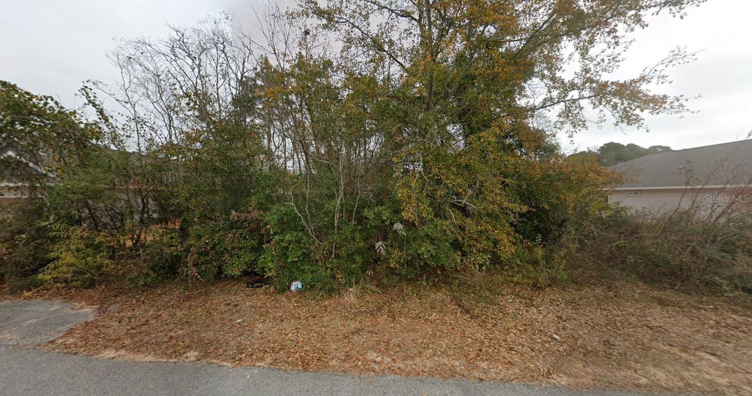 Image 2 Image 2