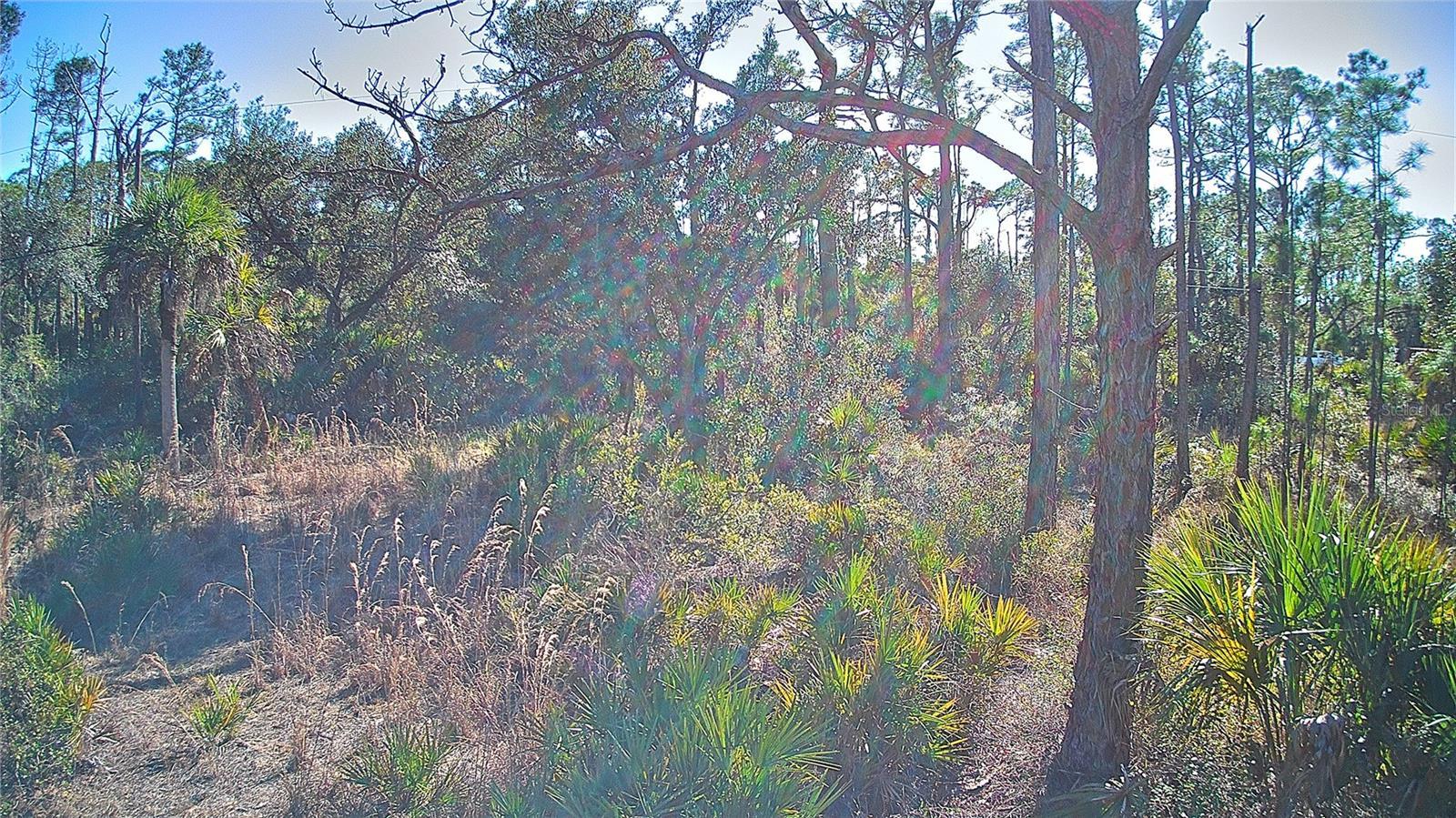 Image 4 Image 4
