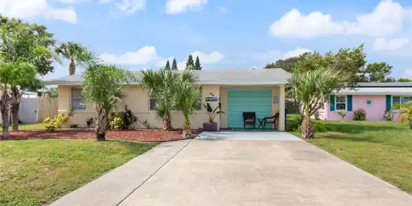 48 PALM DRIVE