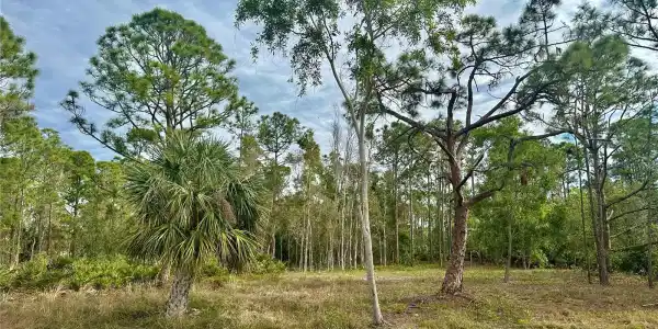 12276 PARAMOUNT DRIVE