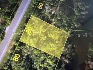 Image 1 Image 1