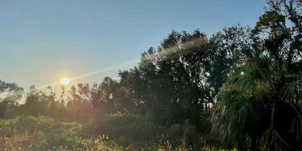 1215 HARBOUR BREEZE COURT